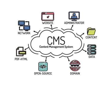 content management systems cms examples
