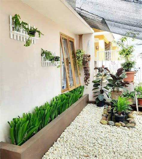 contoh tanaman hias untuk rumah satu setengah lantai