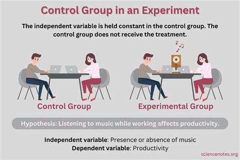 control group definition and example