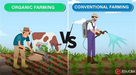conventional farming