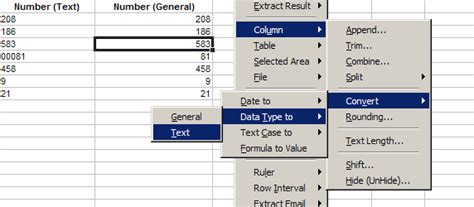 convert data type in excel formula