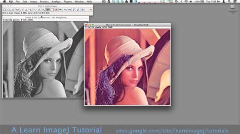 convert image to grayscale imagej