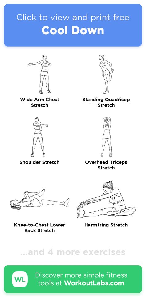 cool down exercise examples for beginners