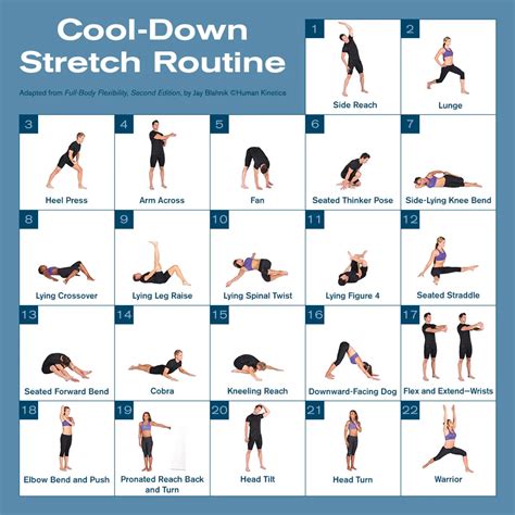 cool down exercise examples for legs