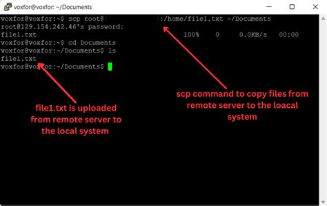copy file from remote server to local linux
