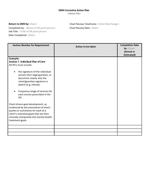 corrective action plan example