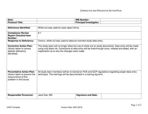 corrective action plan examples pdf