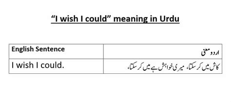 could be meaning in urdu with example