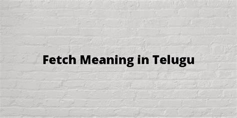 could not fetch data meaning in telugu
