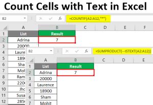 count cells with text and numbers in excel