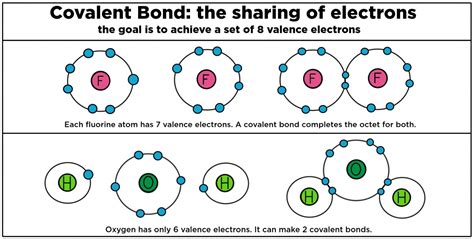 covalent bond electron sharing