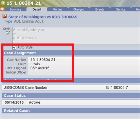 criminal case number example