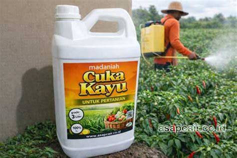 cuka untuk tanaman