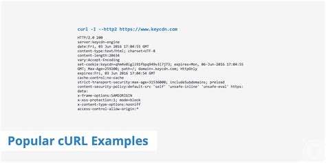 curl put request example