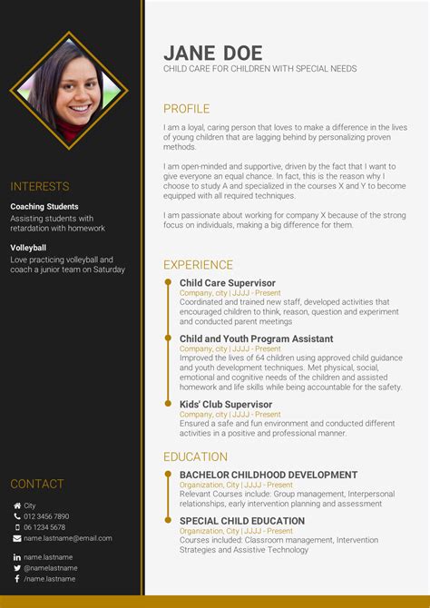 curriculum vitae summary example