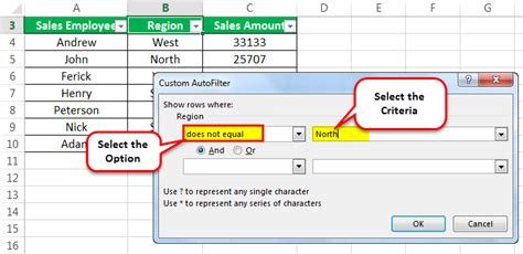 custom filter in excel shortcut key