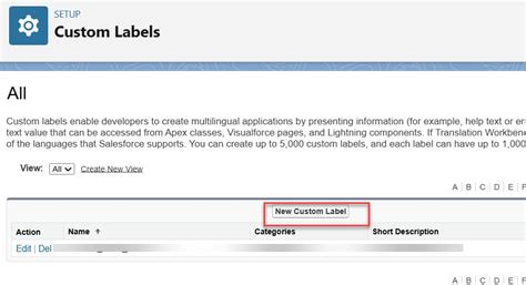custom label length in salesforce