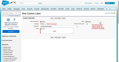 custom labels in salesforce query