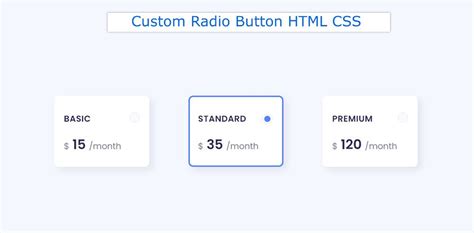 custom radio button html css codepen