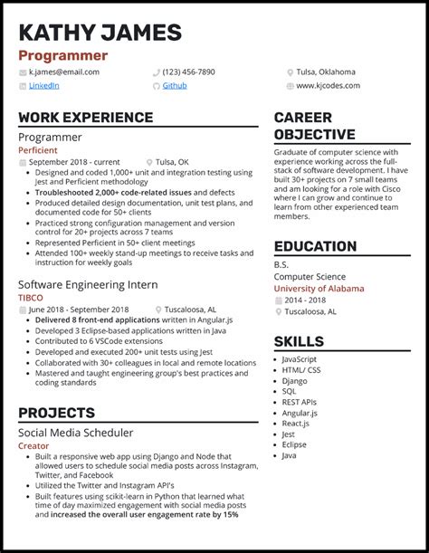cv example english programmer
