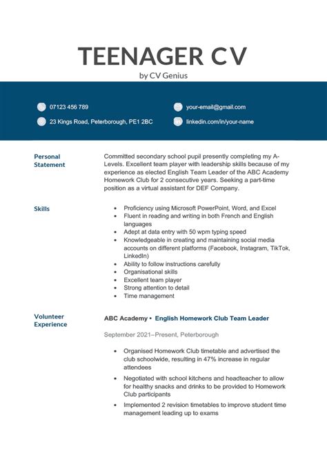 cv example for 17 year old