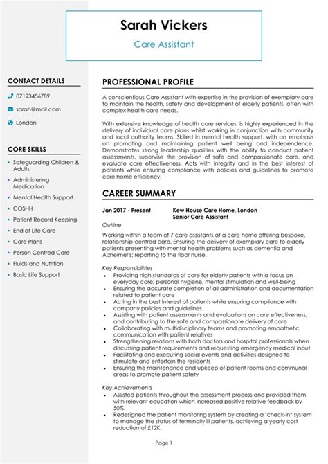 cv examples for care assistant