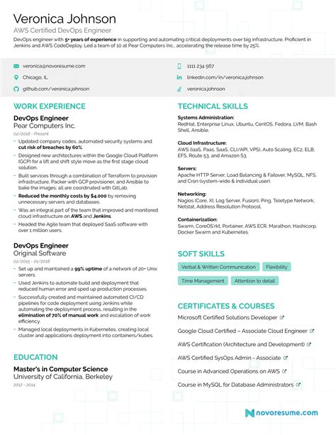 cv examples us