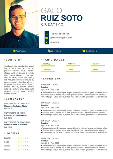 cv profesional