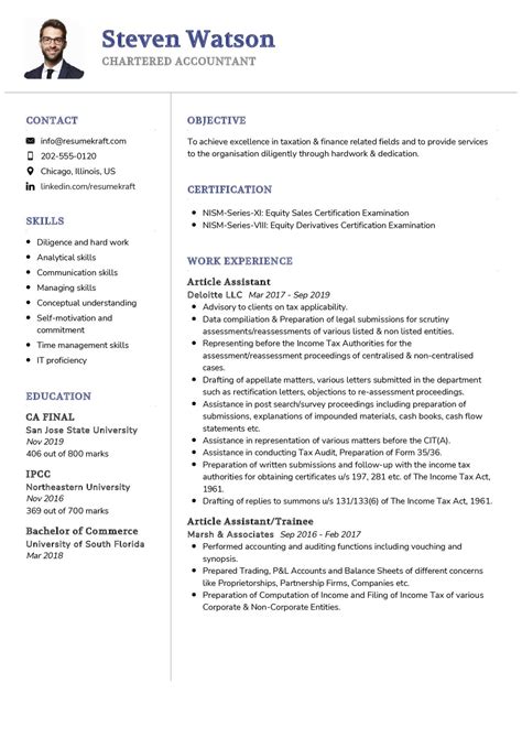 cv profile examples accountant