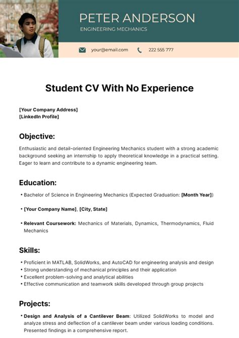 cv student examples with no experience