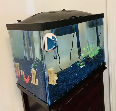 cycling a fish tank for a 10-gallon tank