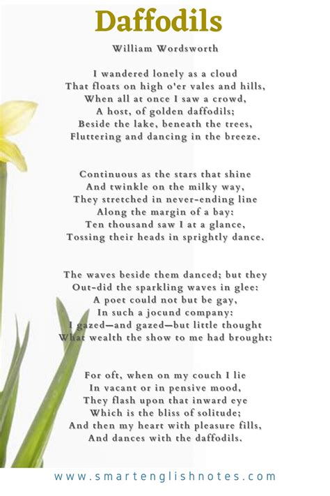 daffodils poem summary in easy words