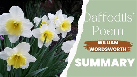daffodils summary in easy words