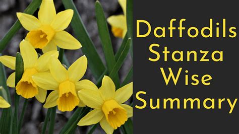 daffodils summary in easy words stanza wise