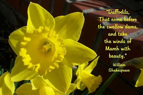 daffodils summary in easy words with quotations