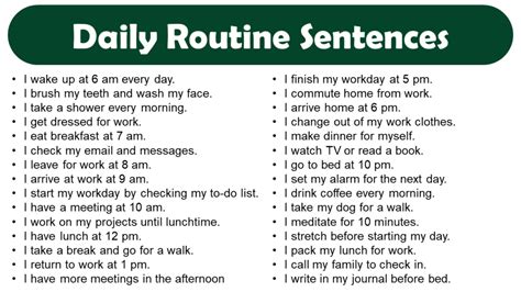 daily routine examples sentences in english