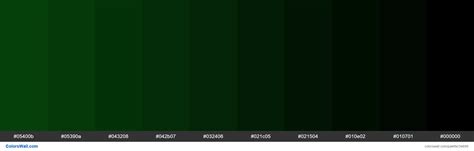 dark forest green rgb code