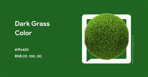 dark grass color code