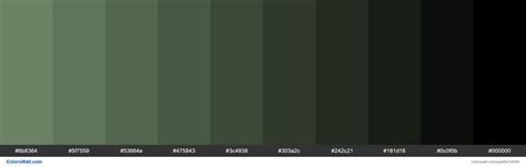 dark gray green hex code