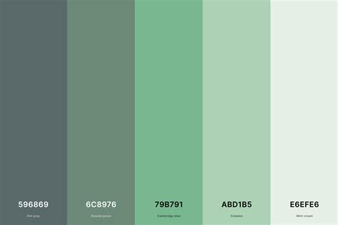 dark grey green hex code