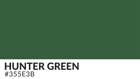 dark hunter green color code