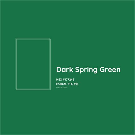 dark spring green hex code