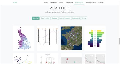 data analytics portfolio example