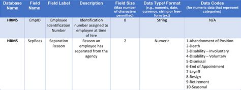 data definition document template