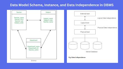 data model schema and instances in dbms