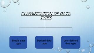 data type definition in simple words