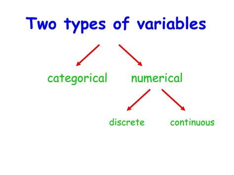 data types discrete continuous categorical