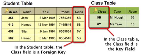 data types in database igcse