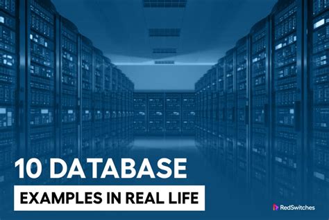 database examples for students in real life
