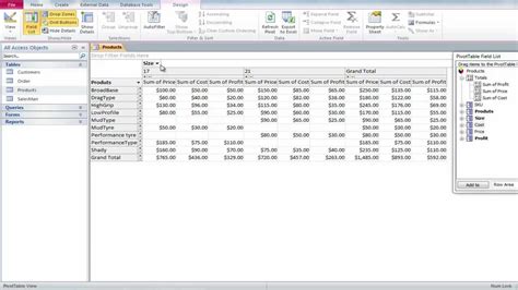 database program for mac like access